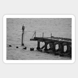 Leith Docks Man Statue by Antony Gormley. Edinburgh, Scotland Sticker